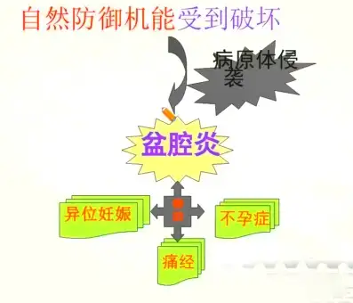 危害:疼痛不適,不孕症,異位妊娠,痛經範圍:子宮內膜炎,子宮體炎,附件