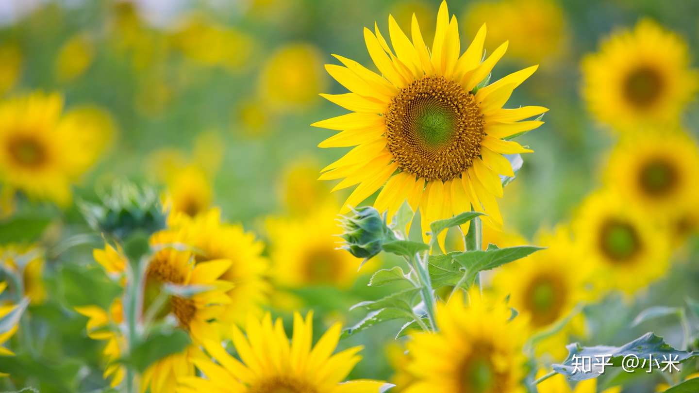 入目无他人 四下皆是你 知乎