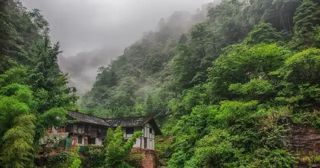 它是中国酒城，很多人却因为它爱上这座城市
