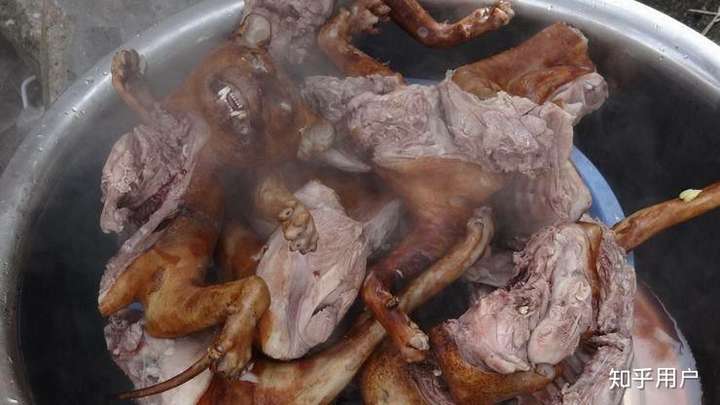 没有任何看法,吃狗肉很正常,就像我们村一直有猫肉馆