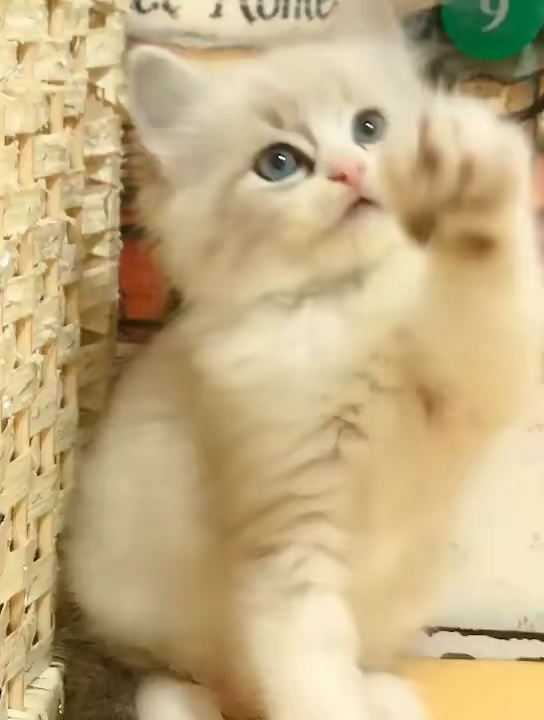 v2-7921b0a69c1c8a837ce9f76e2b57a827_bh.jpg?source=1940ef5c