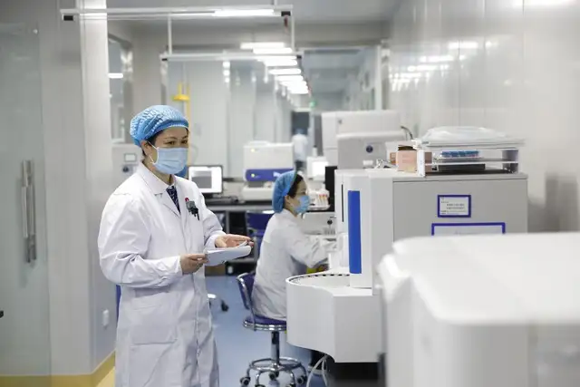 图片[2]-2024年人才引进落户上海政策：五大类方式汇总！-落沪窝