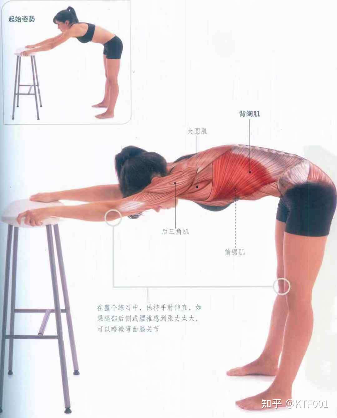 全身疼痛拉伸指南二 背部疼痛 知乎