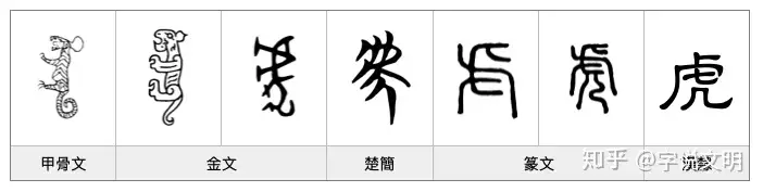 漢字的字元 鳥獸動物 虍 知乎