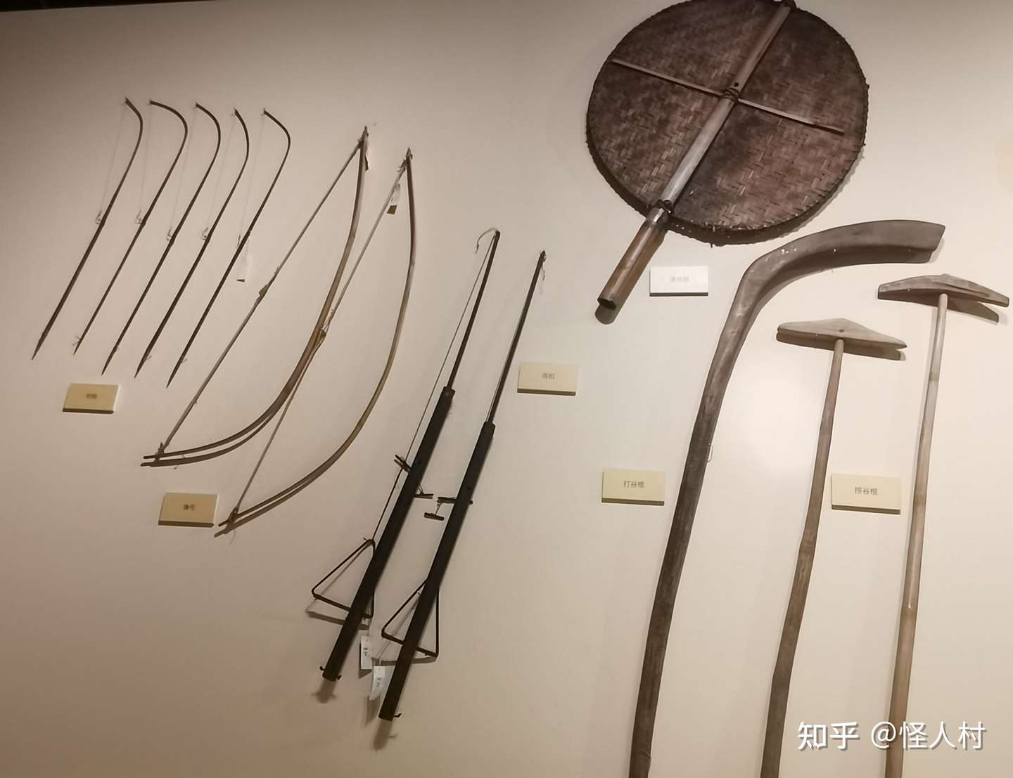 傣族人一定是造物的宠儿 用大象耕作 深谙雨林植物驯化 用龙山林守护雨林保护区 知乎