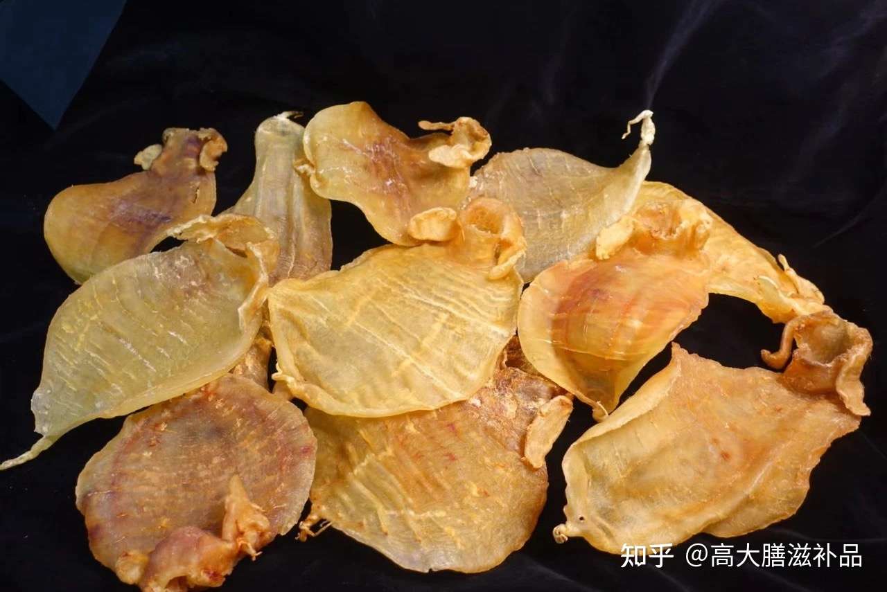 6招教你如何辨别鱼胶好坏 知乎