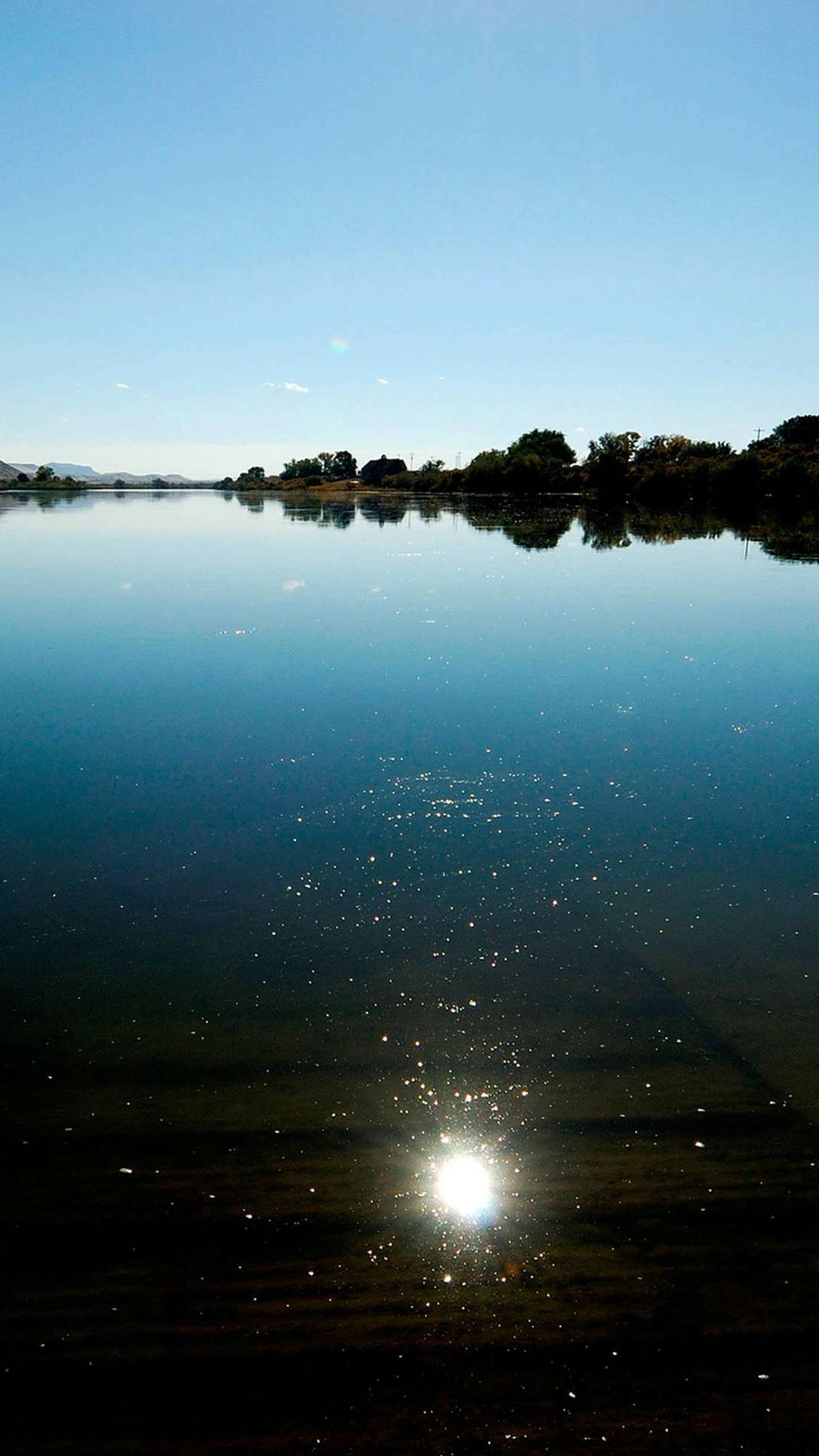 willing愿永怀善意,清澈明朗
