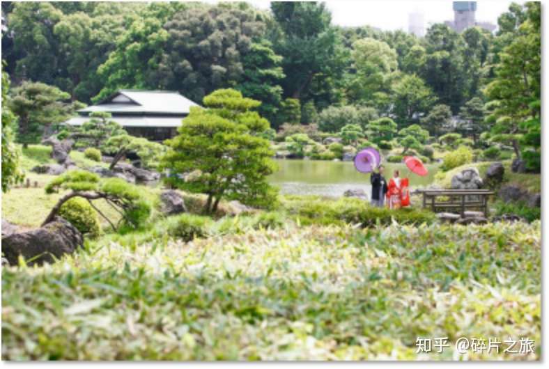 东京就能拍出古风美照 解锁日本人隐藏的拍照圣地 知乎