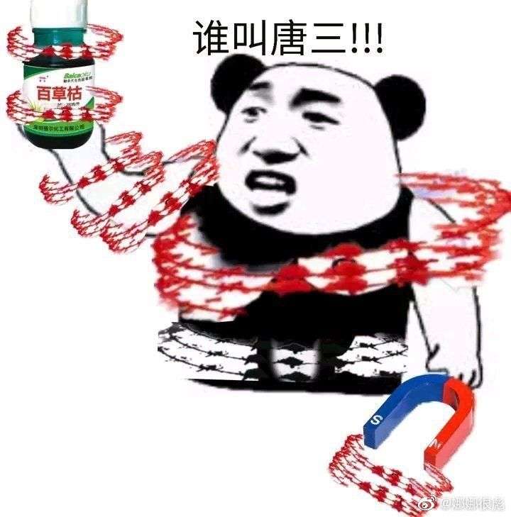 如果以你当前的背景出生在《斗罗大陆》,你希望拥有什么武魂(平民武魂