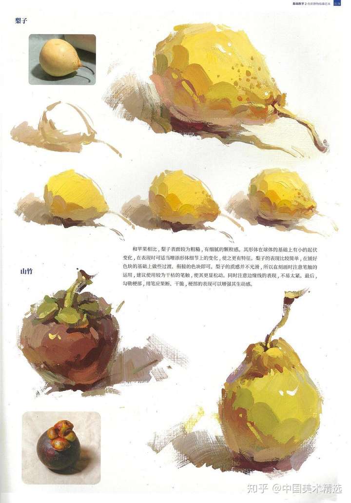 色彩静物单体临摹素材分享