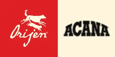 如何才能买到真正的渴望猫粮