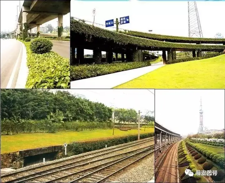 详解|城市道路绿地景观设计