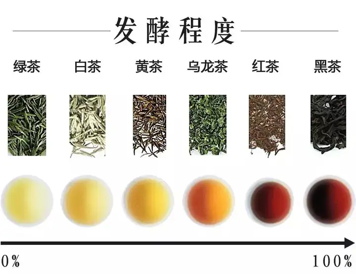 速看（6大茶類發(fā)酵度及制作工藝圖）六種茶的發(fā)酵程度，六大茶類的發(fā)酵程度詳解，四虎影視mp4，