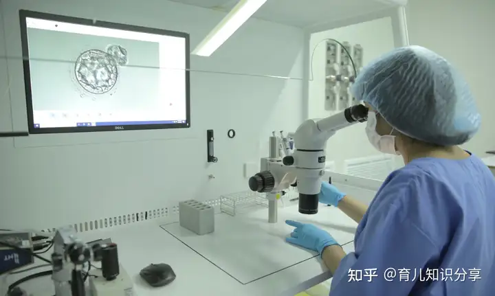 成都试管婴儿医院（三代试管婴儿在国内做成功率多少，有60%吗？）