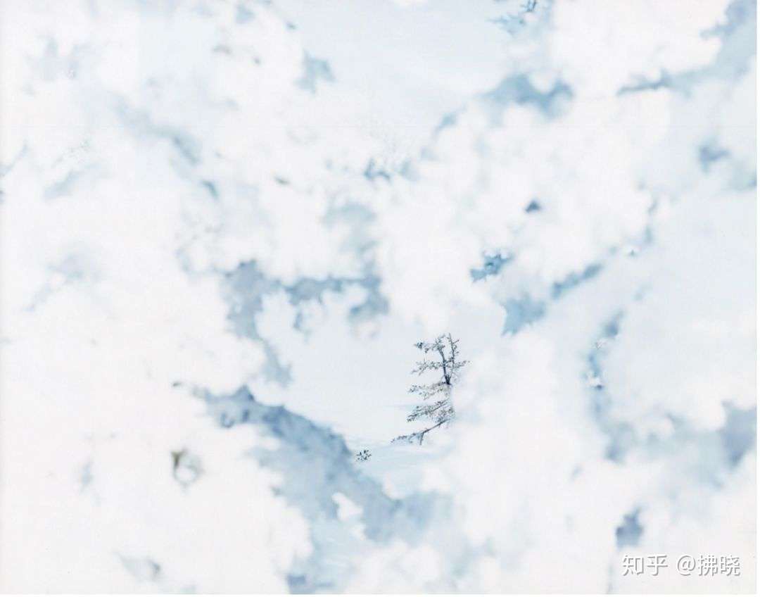 Yuki Sakura 日本写真家铃木理策的见物与感触 知乎