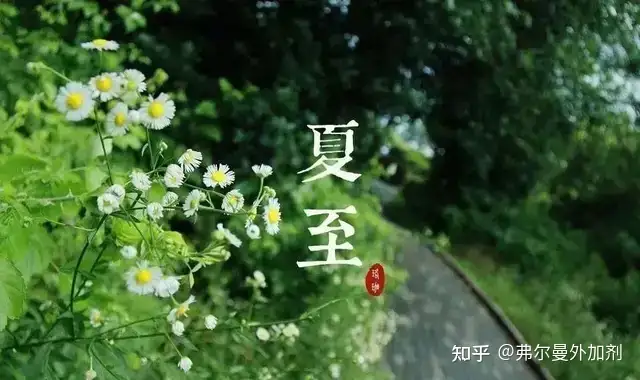 【八方格】关于夏至你了解多少？