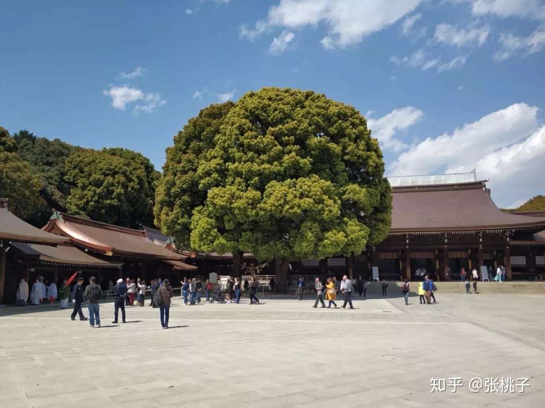 一颗桃子游日本 圣地巡礼 和好友的10个问答 知乎