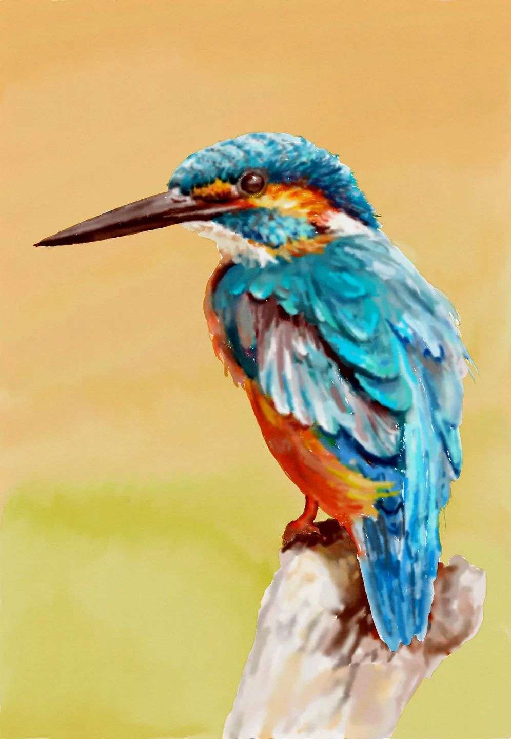 哇 好漂亮的一直小鸟呀 电脑绘画 知乎