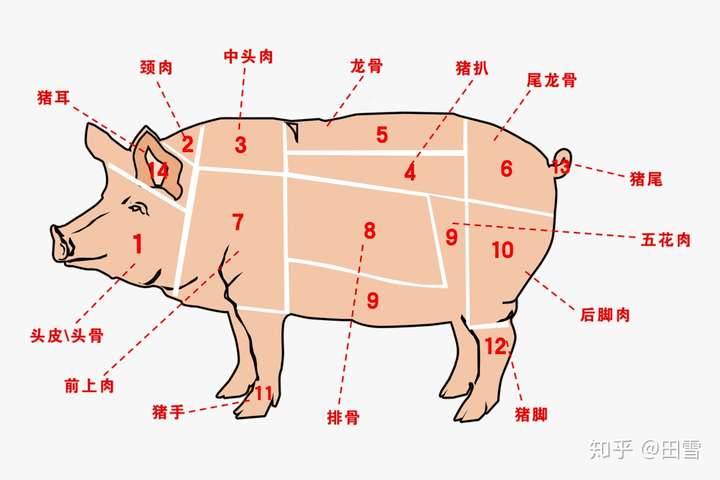 如何切猪心步骤图解图片
