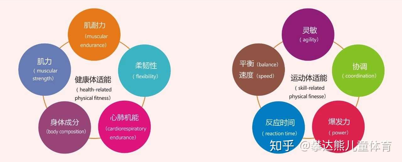什么是 体适能 什么又是 儿童体适能 知乎