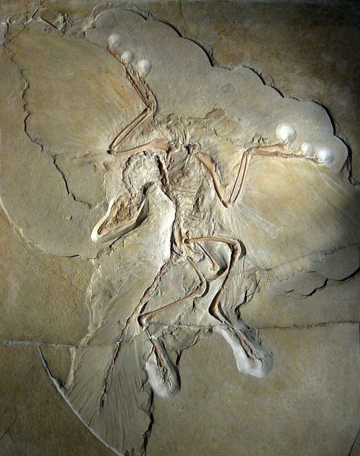 矿库-矿业物资装备采购共享平台 3人 赞同了该文章 文章作者:桔灯勘探