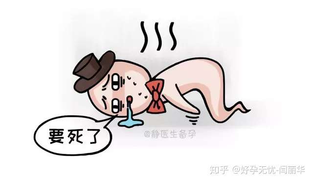 二胎是不是比较难怀