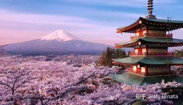 最美的季节遇见你——日本樱花祭全攻略- 知乎