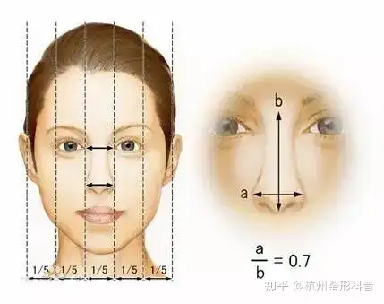 姓名測分-額頭窄 顴骨高 面相-(早報最新版下載)-塔羅牌逆位的輪子