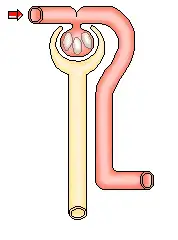 178_240gif 动态图 动图