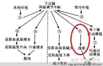 v2-823dbda189169f46c049a573d6373812_720w.jpg