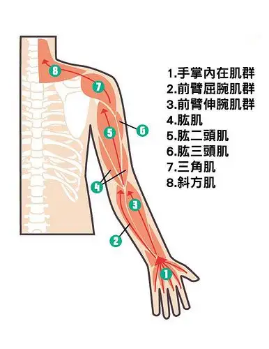 肩頸痠痛關鍵可能在手掌這樣按摩2分鐘馬上見效