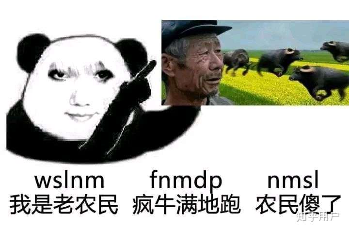 龙图表情包 nmsl图片