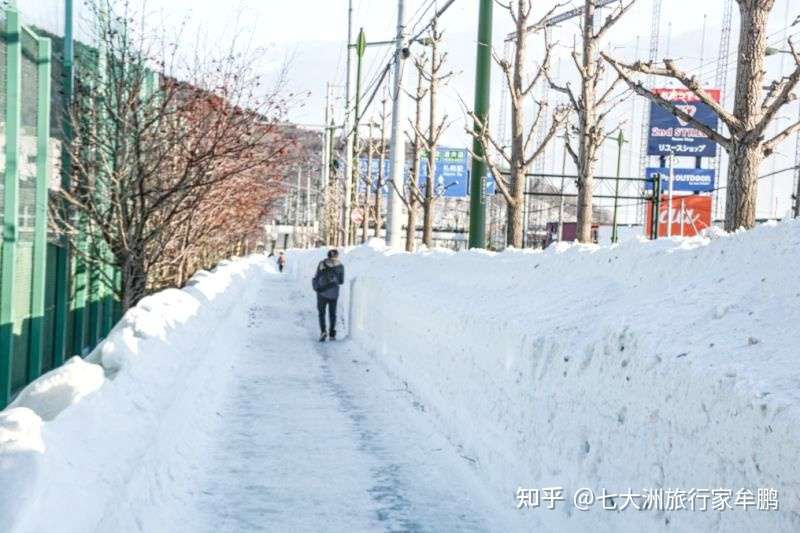 北海道的雪 知乎