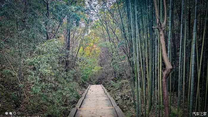 一人一唐，自驾洛南金丝峡，瞰五彩斑斓深秋神瀑峡沟