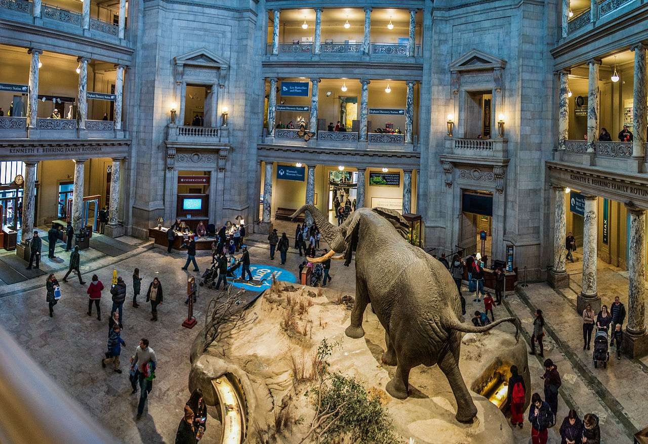 华盛顿景点攻略 美国国家自然历史博物馆 National Museum Of Natural History 知乎