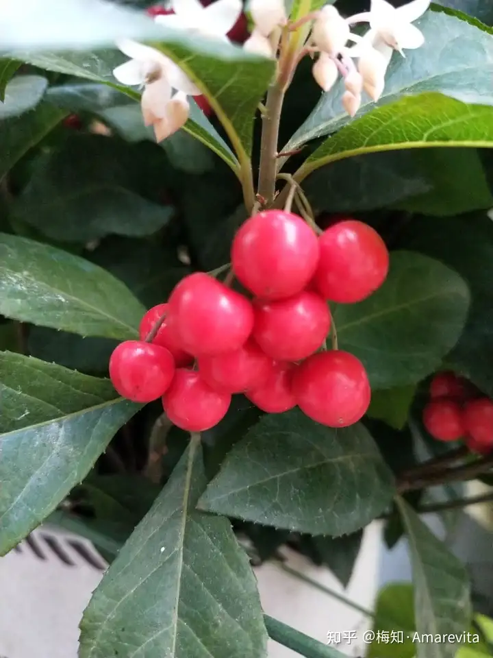 端午节：六月十四日，2021年，365日，一日七话题（6月14号端午节放假）