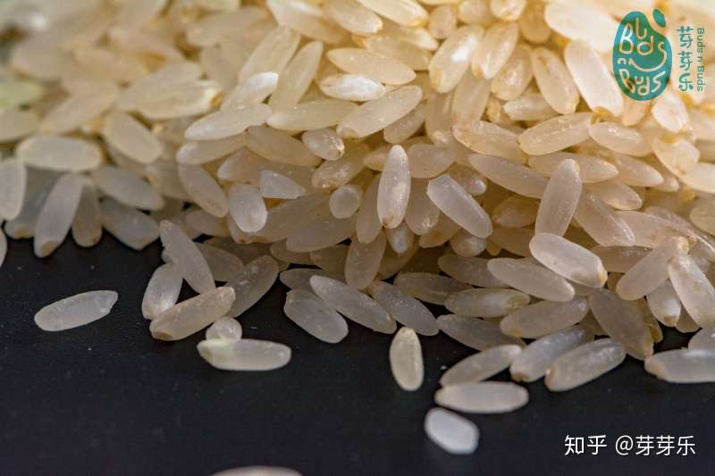 为什么要吃胚芽米 知乎