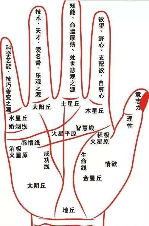 这些手相入门基础知识你得知道 知乎 这些手相入门基础知识你得知道 知乎