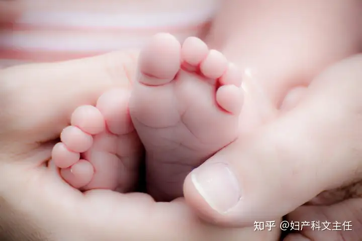 成都助孕中心（试管婴儿到底合不合法？国内三代试管乱象横行，如何识别黑机构？）