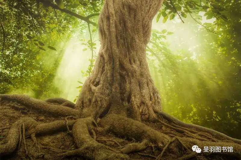 人的 本性 是天使还是猴子呢 知乎