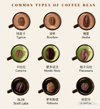 星巴克咖啡豆种类13种图片