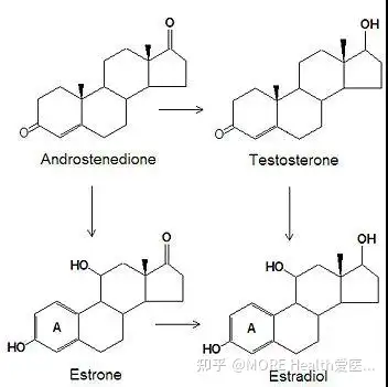 雄激素治疗乳腺癌希望重现