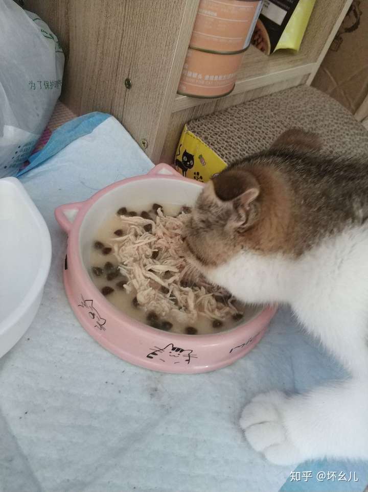给猫吃的鸡胸肉怎么做