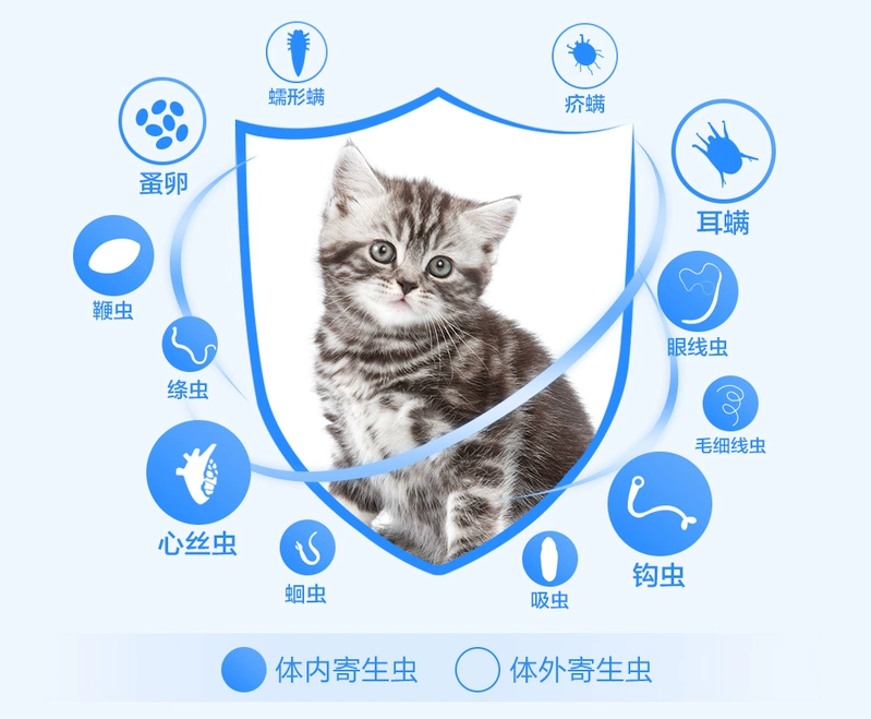 猫体内外12种寄生虫 一粒搞定 米尔贝肟 海妙乐 知乎