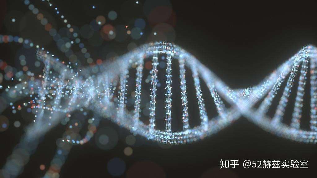 知乎专栏