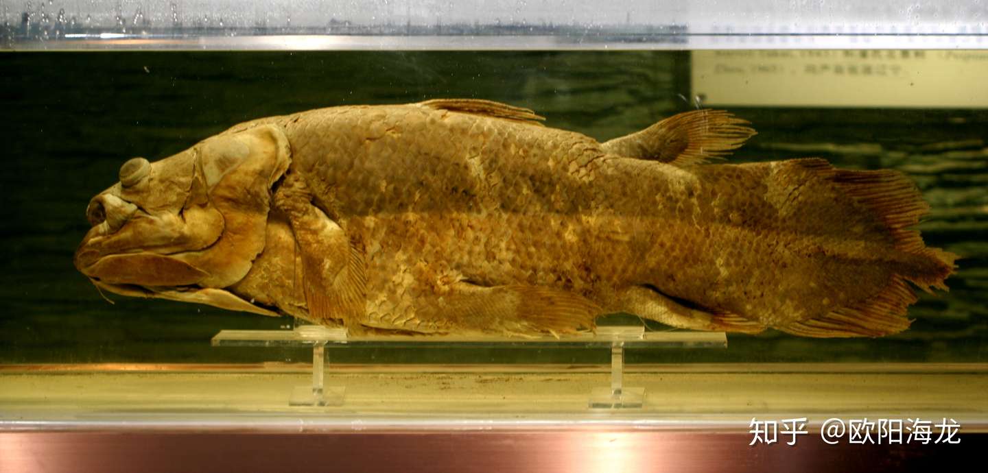 走进水生生物博物馆 知乎