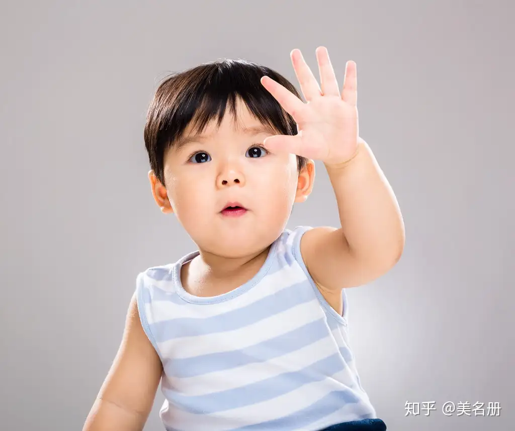 属木寓意美好的汉字 知乎