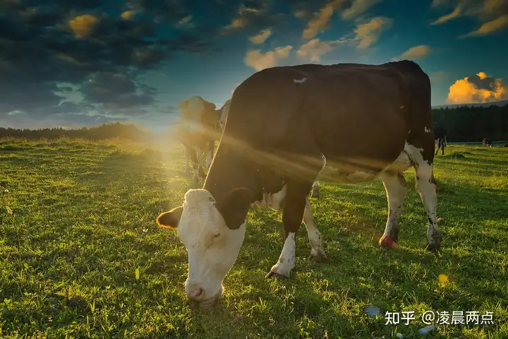 如何剪辑一个好的视频素材流程？纯纯个人经验