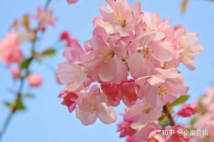 争创天府旅游名县｜再见2022，细数那些时光里的小美好