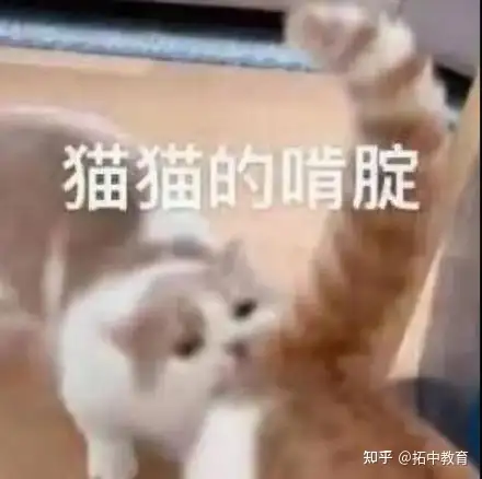 普通高中生，应该如何准备出国留学？